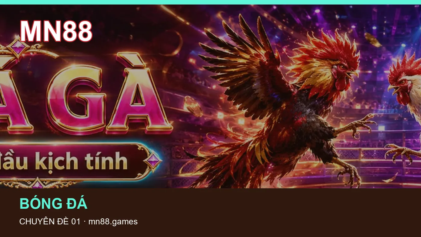 Hình minh họa bài viết MN88